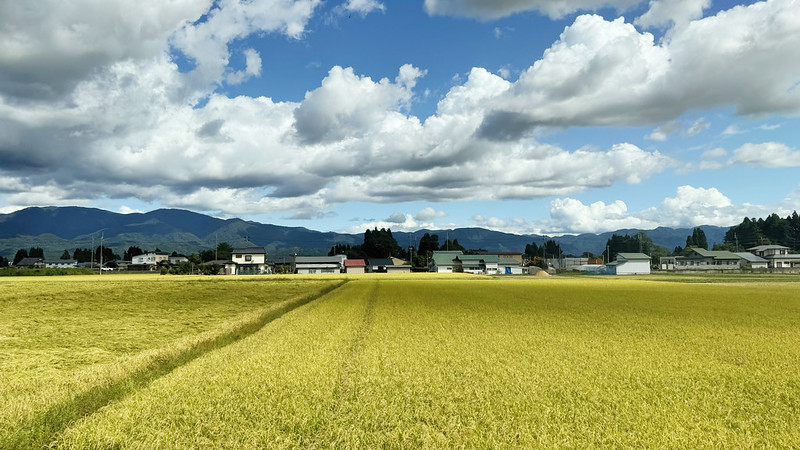 秋田に向かう新幹線からの車窓