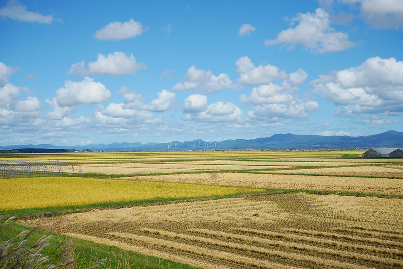 津軽平野